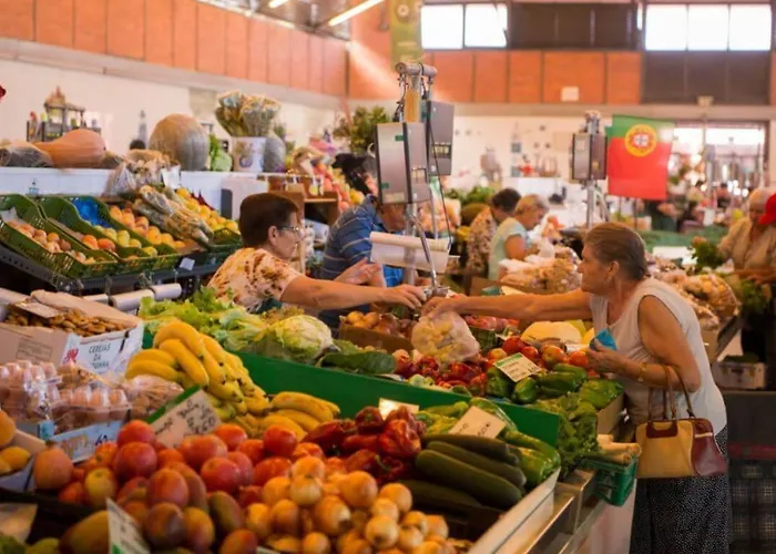 Varandas Da Barreta Apartmán