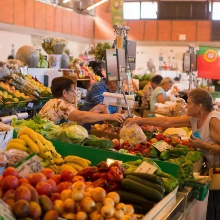 Varandas Da Barreta Apartment